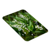 Blumen | Lily of the Valley Schweden Magnet (Rechte Seite)