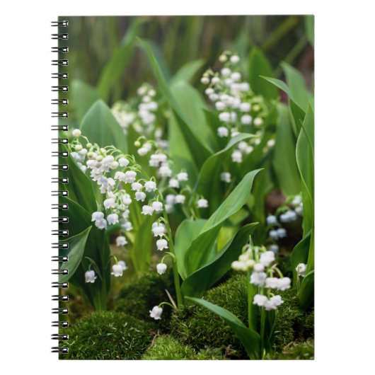 Blumen | Lily of the Valley Schweden Notizblock (Vorderseite)