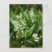 Blumen | Lily of the Valley Schweden Postkarte (Vorderseite)