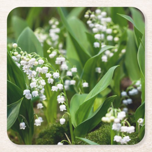 Blumen | Lily of the Valley Schweden Rechteckiger Pappuntersetzer (Vorderseite)