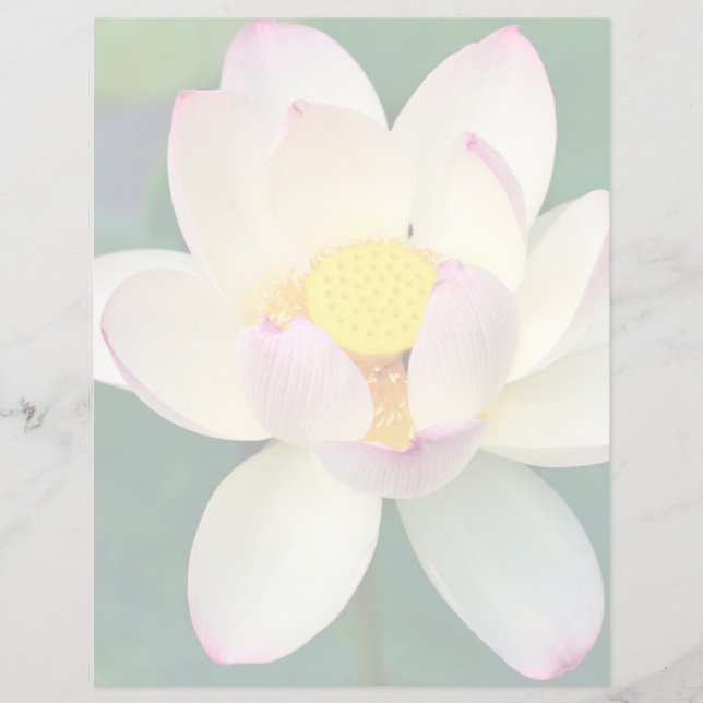Blumen | Lotus Water Blume (Vorderseite)