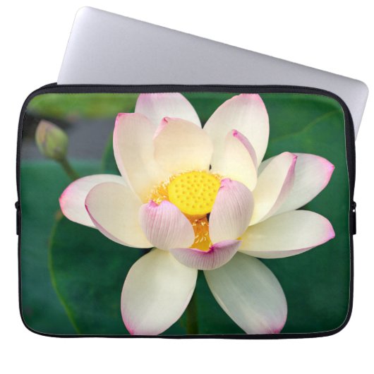 Blumen | Lotus Water Blume Laptopschutzhülle (Vorderseite)