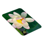Blumen | Lotus Water Blume Magnet (Rechte Seite)
