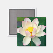 Blumen | Lotus Water Blume Magnet (Vorderseite/Rückseite)