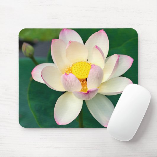 Blumen | Lotus Water Blume Mousepad (Mit Mouse)