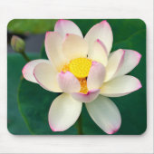 Blumen | Lotus Water Blume Mousepad (Vorne)
