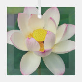 Blumen | Lotus Water Blume Ornament Aus Glas (Vorderseite)