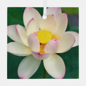 Blumen | Lotus Water Blume Ornament Aus Glas (Rückseite)