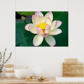 Blumen | Lotus Water Blume Poster (Küche)