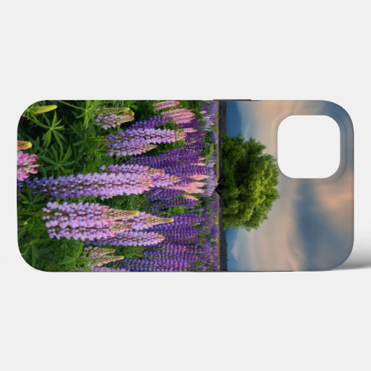 Blumen | Lupinefeld in Neuseeland Case-Mate iPhone Hülle (Rückseite (Horizontal))