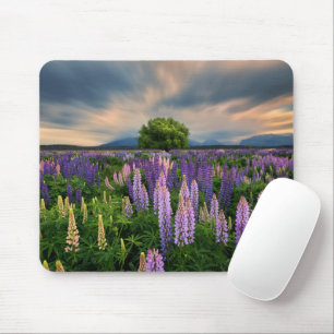 Blumen   Lupinefeld in Neuseeland Mousepad