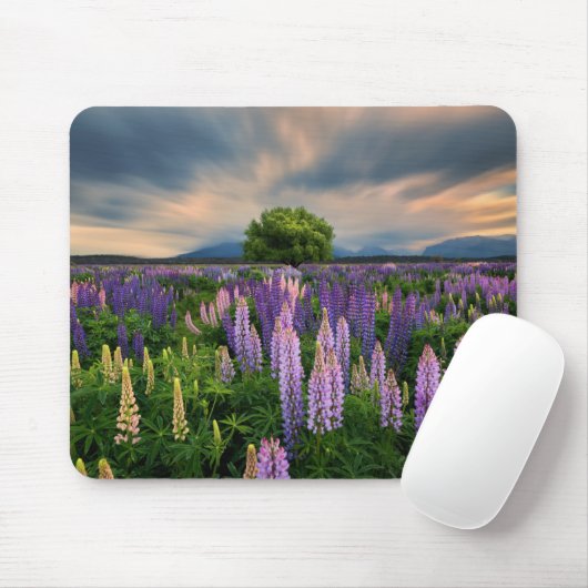 Blumen | Lupinefeld in Neuseeland Mousepad (Mit Mouse)