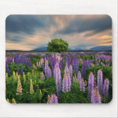 Blumen | Lupinefeld in Neuseeland Mousepad (Vorne)