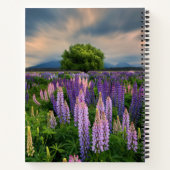 Blumen | Lupinefeld in Neuseeland Notizblock (Rückseite)