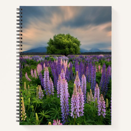 Blumen | Lupinefeld in Neuseeland Notizblock (Vorderseite)