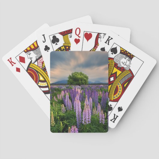 Blumen | Lupinefeld in Neuseeland Spielkarten (Rückseite)