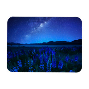 Blumen Lupinen Blühen am Nachtsee Tekapo Magnet