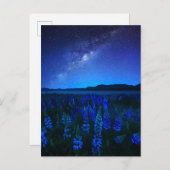 Blumen | Lupinen Blühen am Nachtsee Tekapo Postkarte (Vorne/Hinten)
