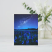 Blumen | Lupinen Blühen am Nachtsee Tekapo Postkarte (Stehend Vorderseite)