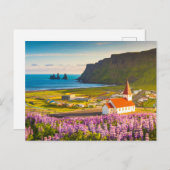 Blumen | Lupinen in Bloom Süd Island Postkarte (Vorne/Hinten)