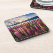 Blumen | Lupinen Neuseeland Getränkeuntersetzer (Linke Seite)