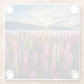 Blumen | Lupinen Neuseeland Glasuntersetzer (Rückseite)