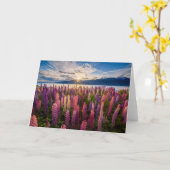 Blumen | Lupinen Neuseeland Karte (Gelbe Blume)