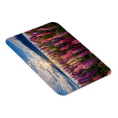 Blumen | Lupinen Neuseeland Magnet (Rechte Seite)