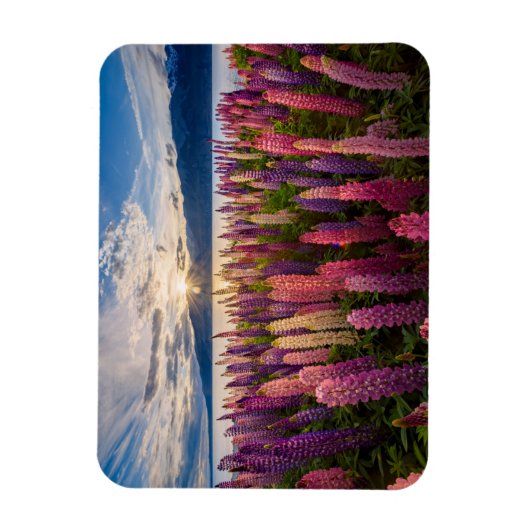 Blumen | Lupinen Neuseeland Magnet (Vertikal)