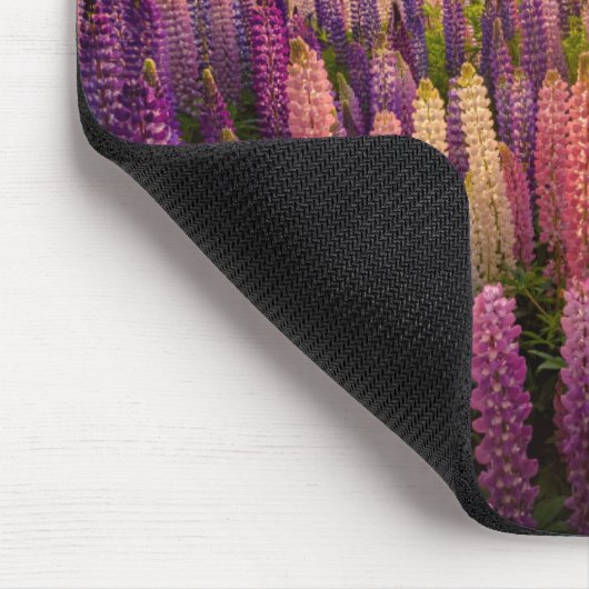 Blumen | Lupinen Neuseeland Mousepad (Ecke)