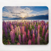 Blumen | Lupinen Neuseeland Mousepad (Vorne)
