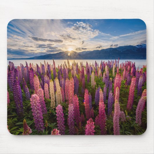 Blumen | Lupinen Neuseeland Mousepad (Vorne)