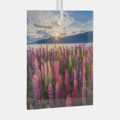 Blumen | Lupinen Neuseeland Ornament Aus Glas (Vorderseite Rechts)