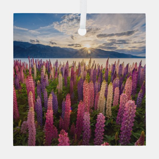 Blumen | Lupinen Neuseeland Ornament Aus Glas (Rückseite)