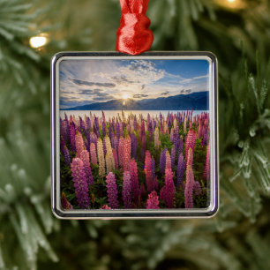 Blumen Lupinen Neuseeland Ornament Aus Metall