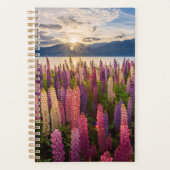 Blumen | Lupinen Neuseeland Planer (Vorderseite)