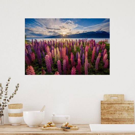 Blumen | Lupinen Neuseeland Poster (Küche)