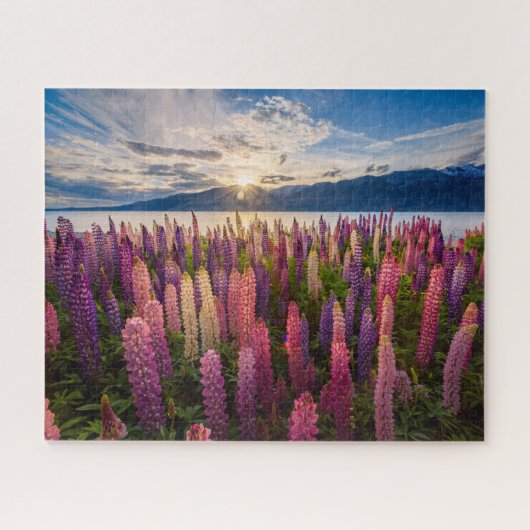 Blumen | Lupinen Neuseeland Puzzle (Horizontal)