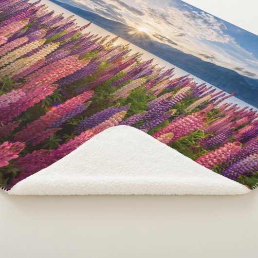 Blumen | Lupinen Neuseeland Sherpadecke (3/4)