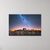 Blumen | Lupines Blühen Tekapo-See Neuseeland Leinwanddruck (Vorderseite)