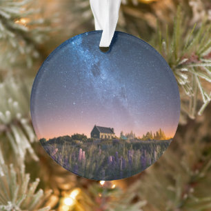 Blumen   Lupines Blühen Tekapo-See Neuseeland Ornament