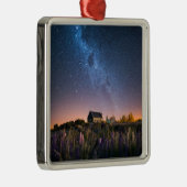 Blumen | Lupines Blühen Tekapo-See Neuseeland Ornament Aus Metall (Rechts)