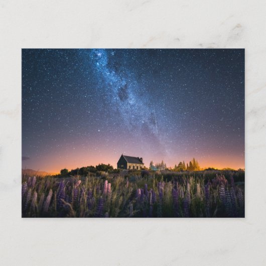 Blumen | Lupines Blühen Tekapo-See Neuseeland Postkarte (Vorderseite)