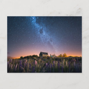 Blumen   Lupines Blühen Tekapo-See Neuseeland Postkarte