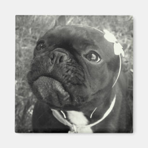 Blumen-Mädchen-Magnet Magnet