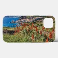 Blumen | Madeira Island Portugal