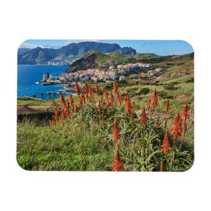 Blumen Madeira Island Portugal Magnet