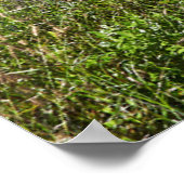 Blumen | Madeira Island Portugal Poster (Ecke)