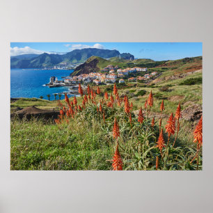 Blumen   Madeira Island Portugal Poster