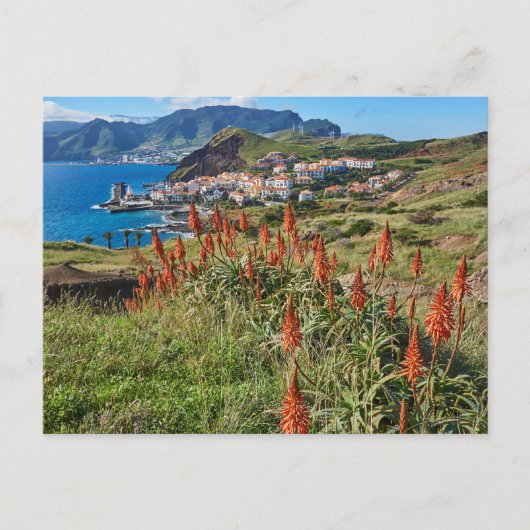 Blumen | Madeira Island Portugal Postkarte (Vorderseite)